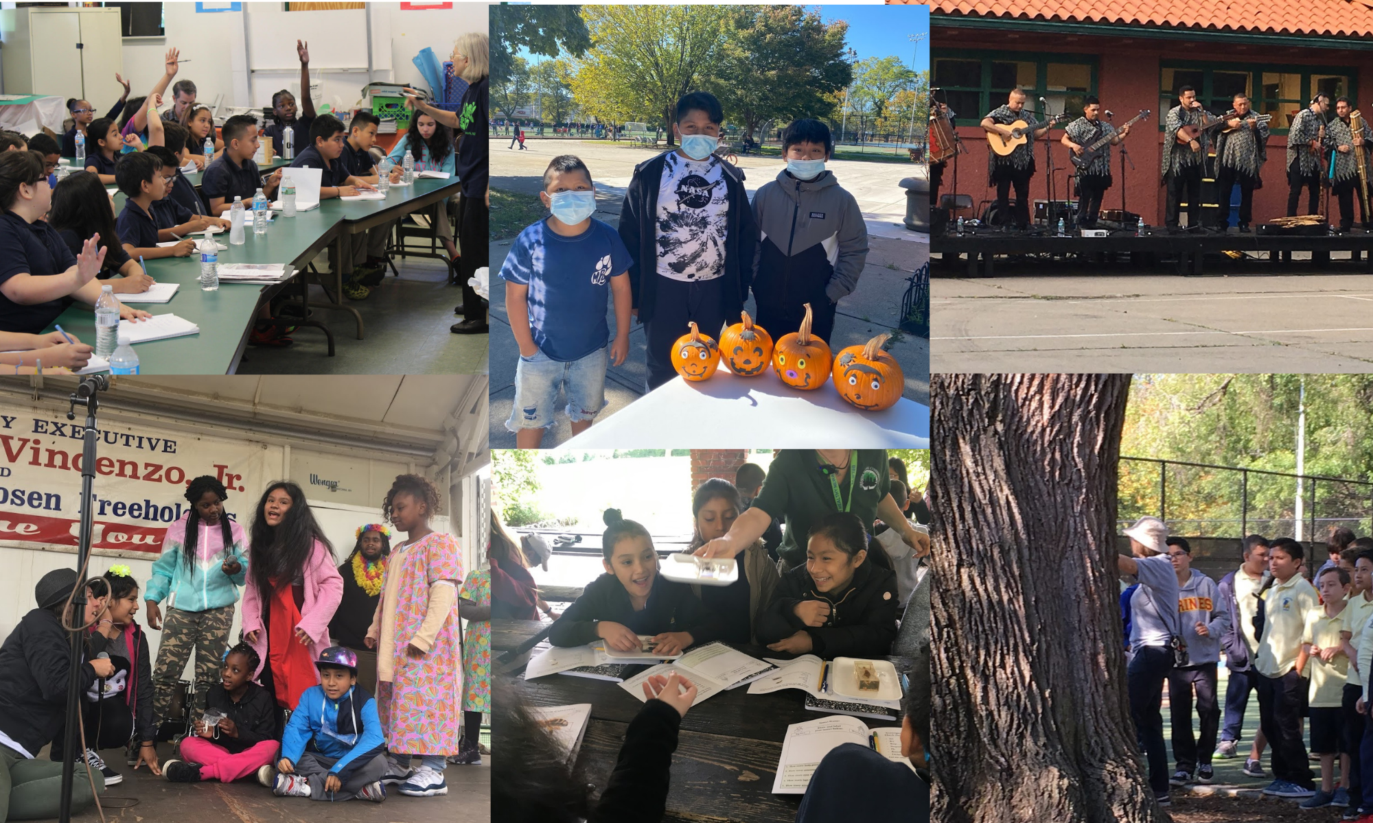 Spark Friends of Riverbank Park